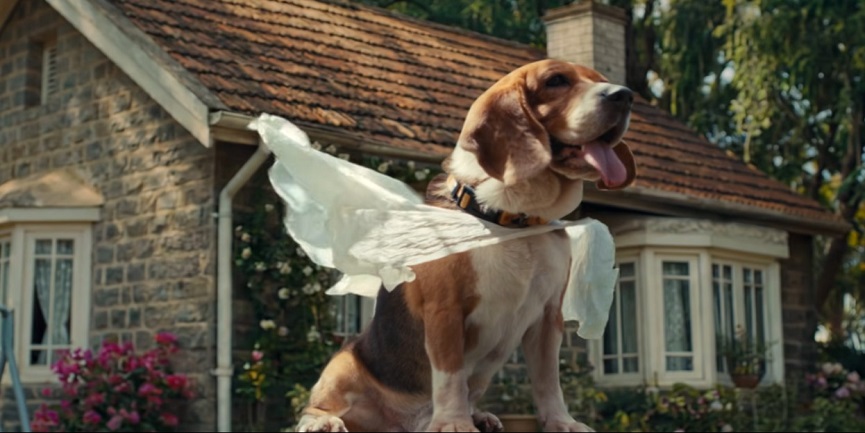 Zomato's World Environment Day Film Highlights Small Choices