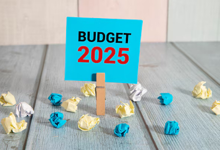 Zee Business Competes with Hindi News Channels on Budget Day